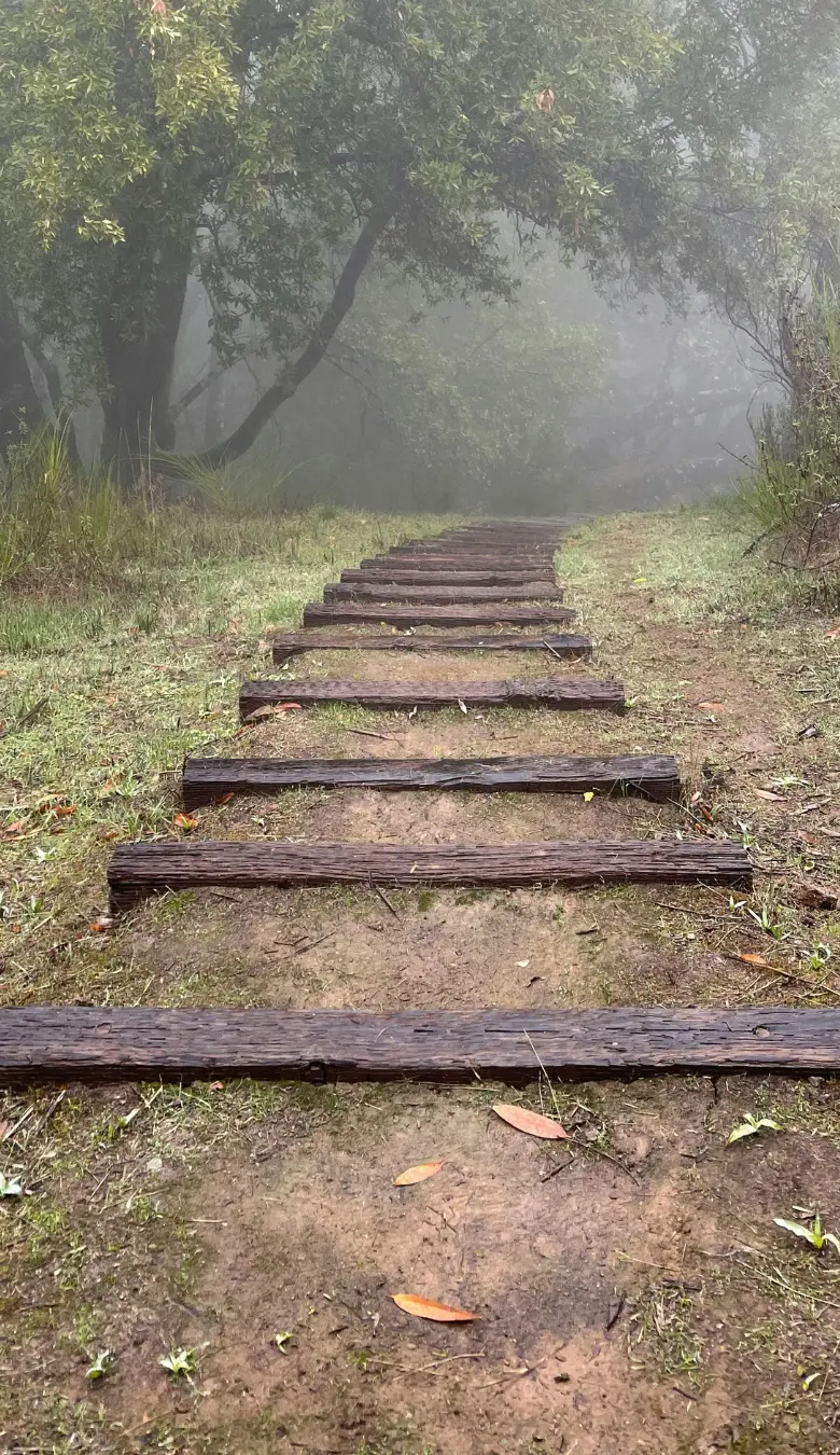 Coaching de Vie_chemin