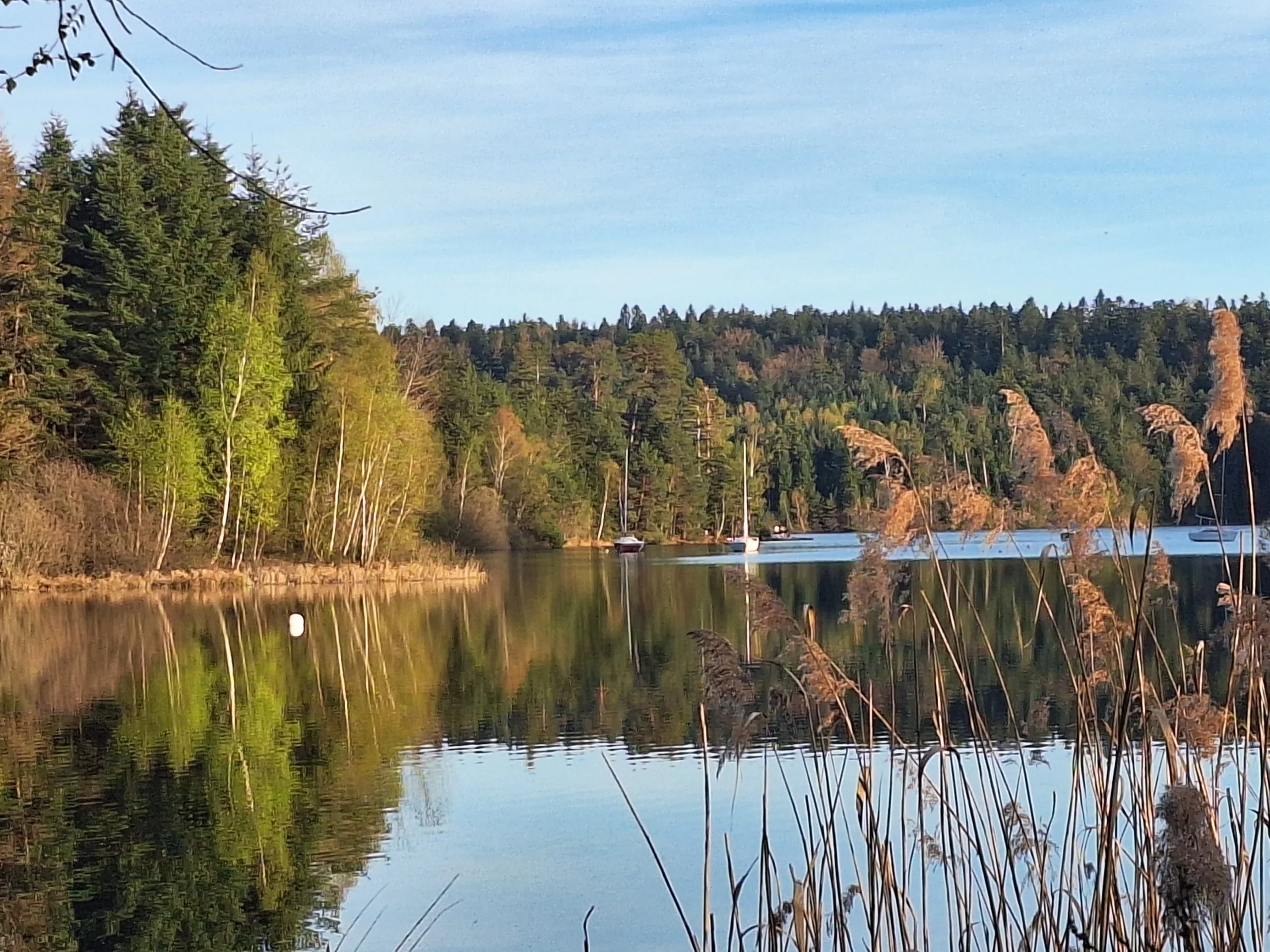 Miroir lac