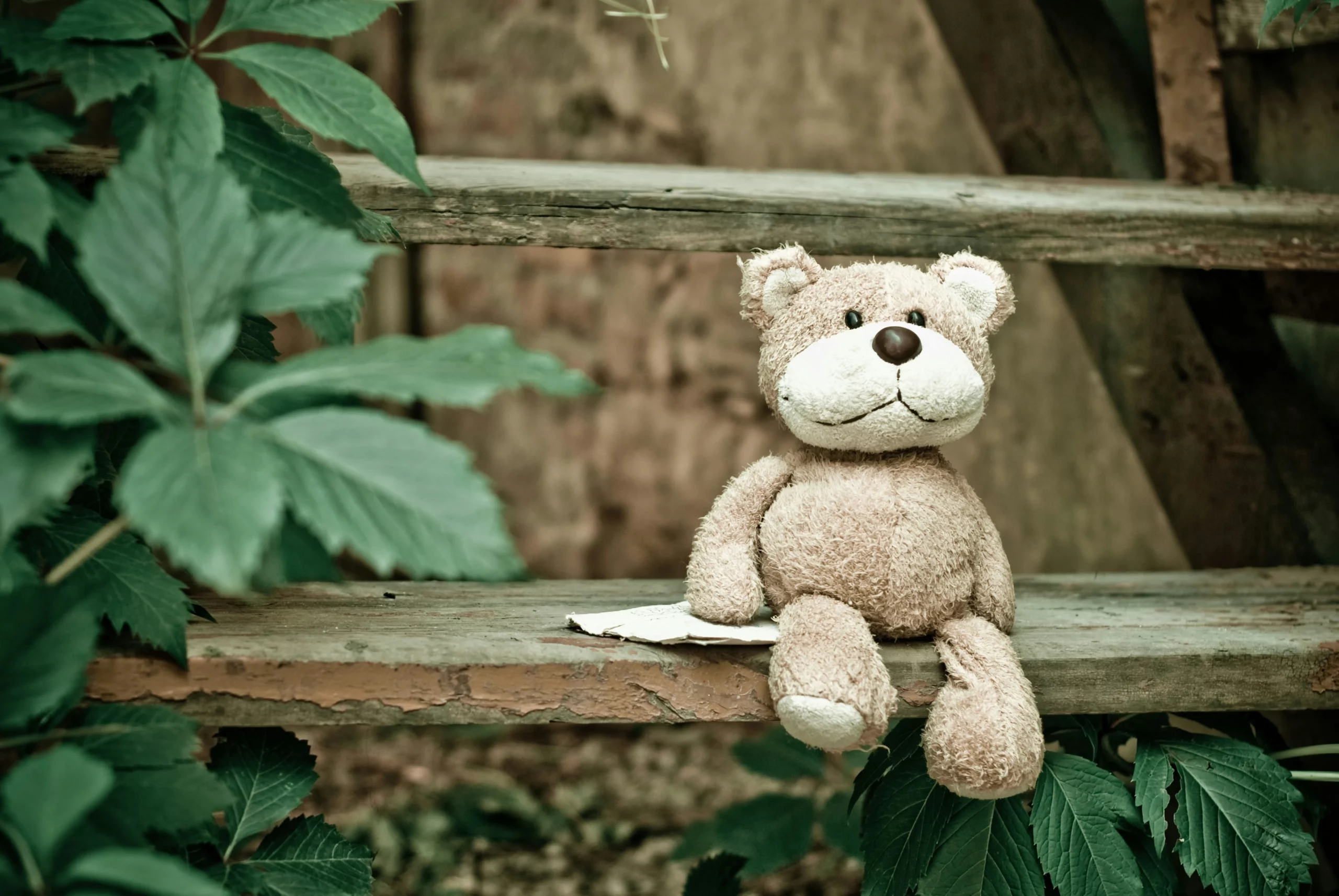 Ours en peluche sur un banc